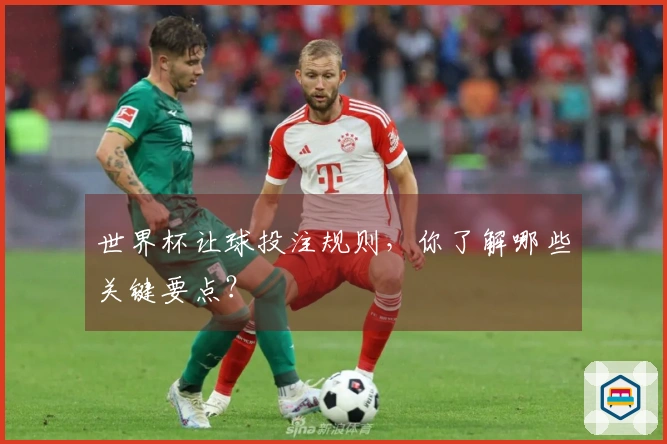 世界杯让球投注规则，你了解哪些关键要点？
