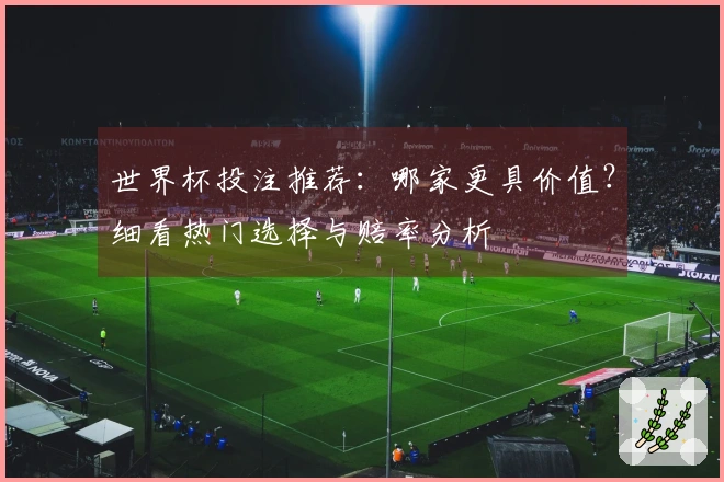 世界杯投注推荐:哪家更具价值?细看热门选择与赔率分析
