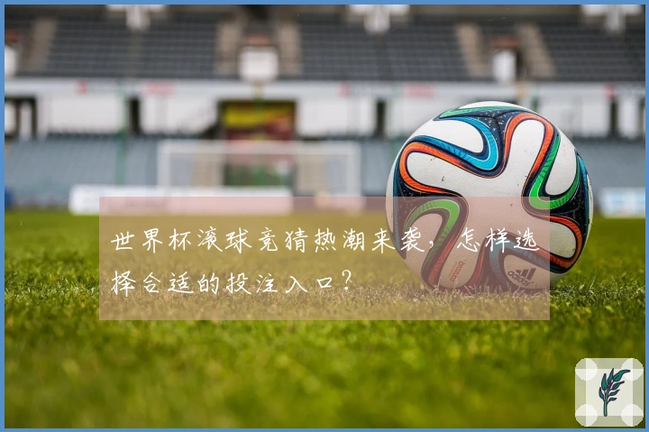 世界杯滚球竞猜热潮来袭，怎样选择合适的投注入口？