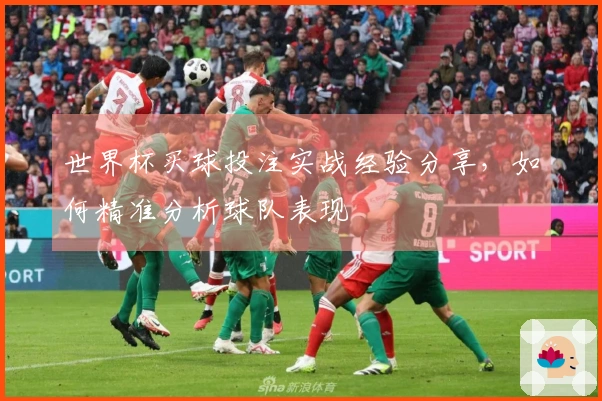 世界杯买球投注实战经验分享，如何精准分析球队表现