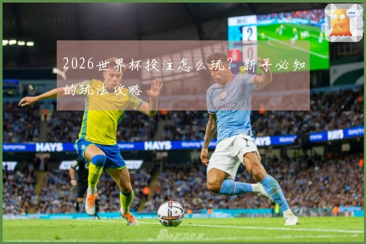 2026世界杯投注怎么玩？新手必知的玩法攻略