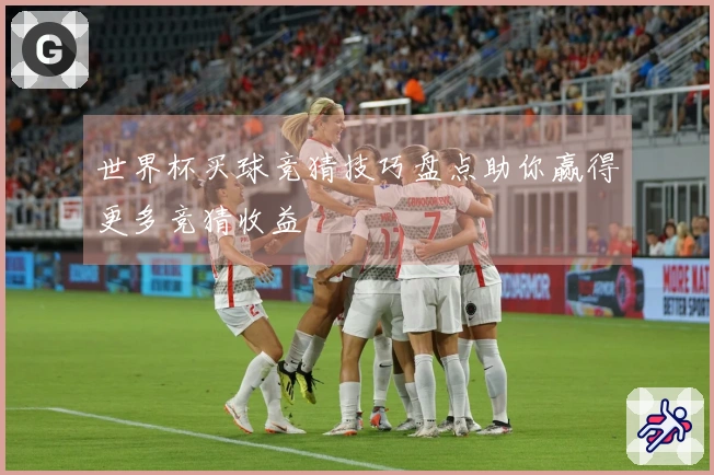 世界杯买球竞猜技巧盘点助你赢得更多竞猜收益