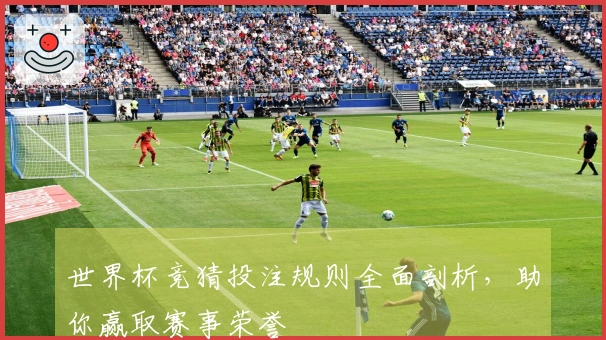 世界杯竞猜投注规则全面剖析，助你赢取赛事荣誉