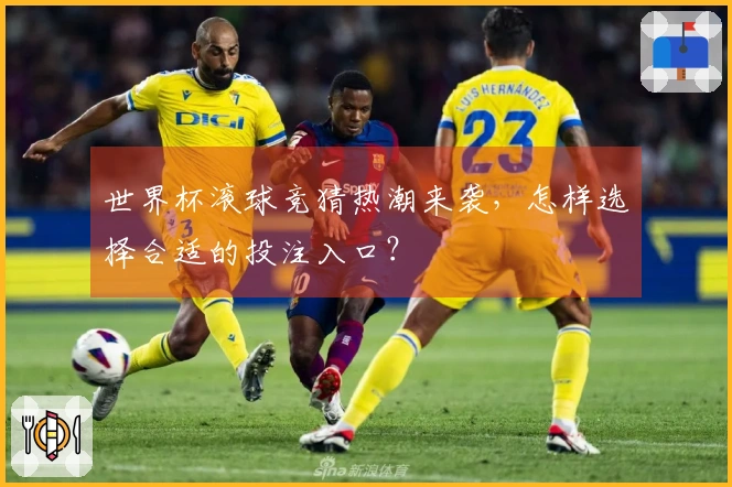 世界杯滚球竞猜热潮来袭，怎样选择合适的投注入口？