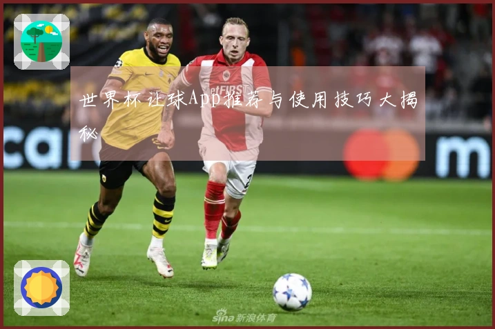 世界杯让球App推荐与使用技巧大揭秘