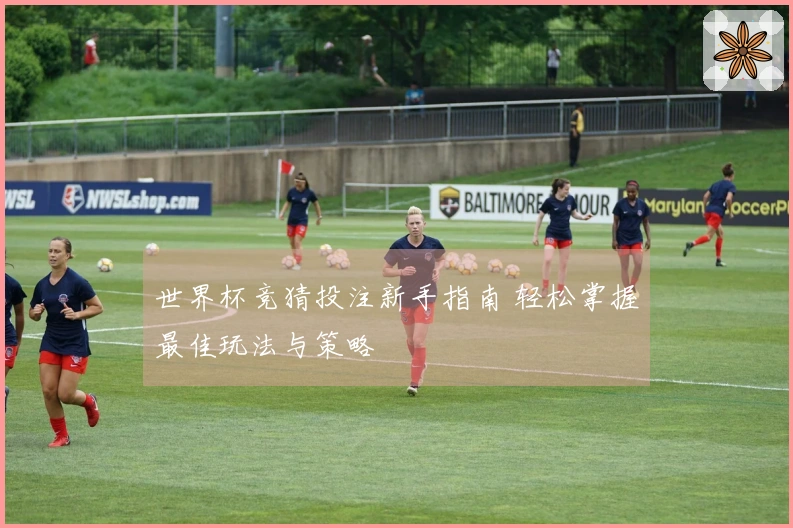 世界杯竞猜投注新手指南 轻松掌握最佳玩法与策略