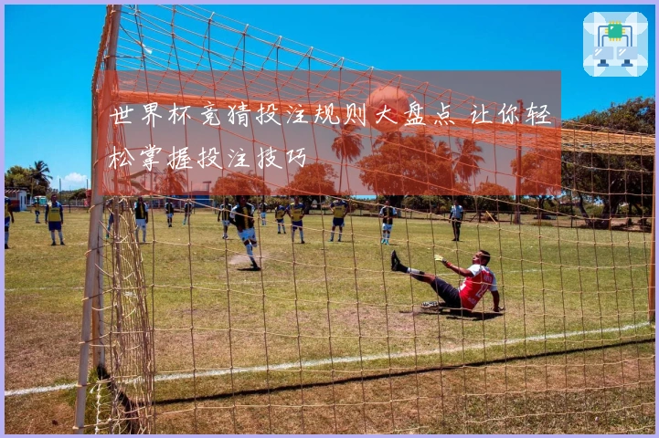 世界杯竞猜投注规则大盘点 让你轻松掌握投注技巧