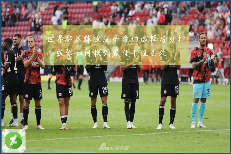 世界杯买球投注平台的选择与分析，教你如何找到最佳下注去处