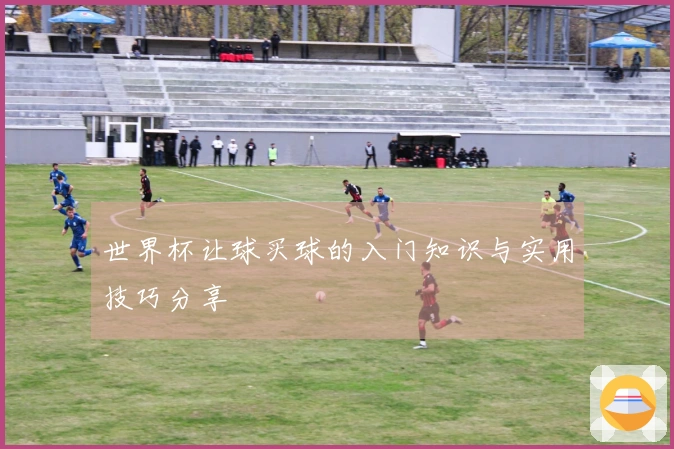 世界杯让球买球的入门知识与实用技巧分享