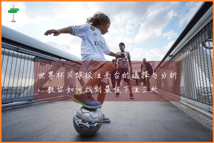 世界杯买球投注平台的选择与分析，教你如何找到最佳下注去处